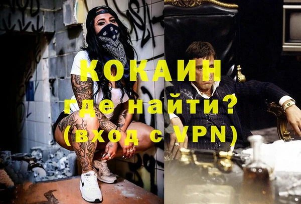 крисы Алзамай