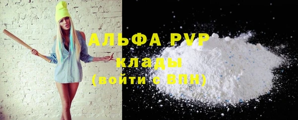 крисы Алзамай